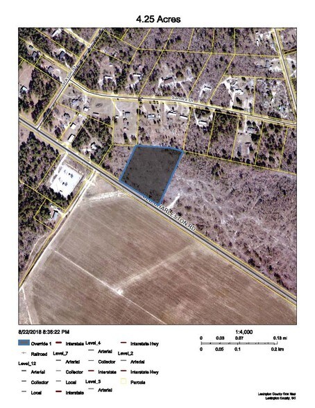 More Photos Of 500 Old Charleston Rd, Pelion Land For Sale