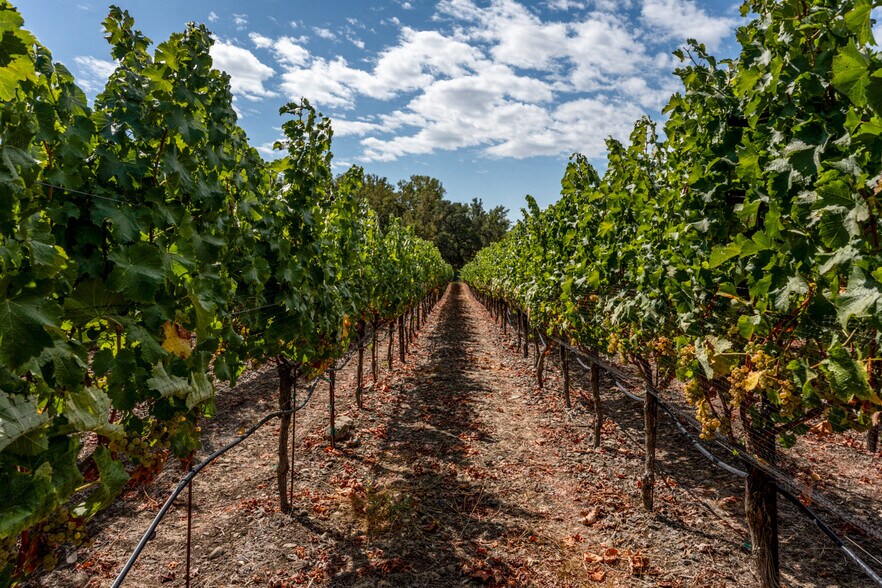 More Photos Of 3340 Lichau Rd, Penngrove Land For Sale