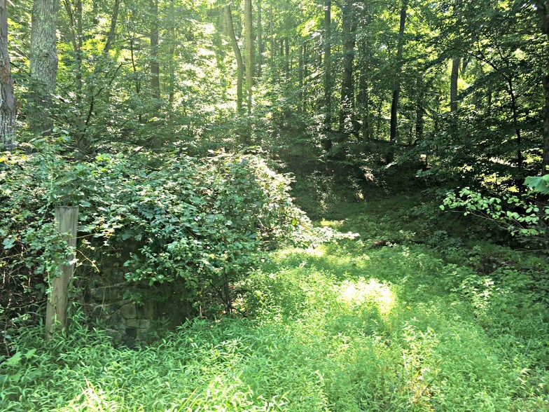 More Photos Of Locust Grove Dr, Port Tobacco Land For Sale