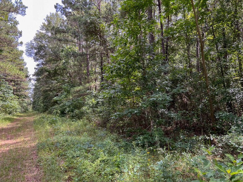 More Photos Of Tommy Smith Road, Conroe Land For Sale