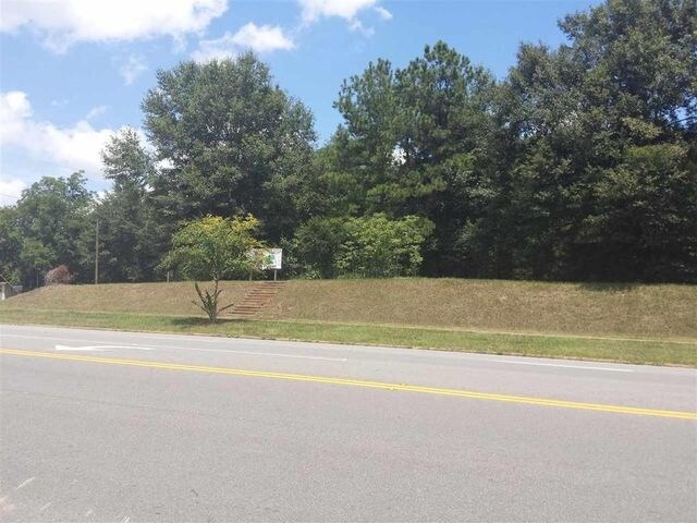 More Photos Of N Highway 90, Sneads Land For Sale