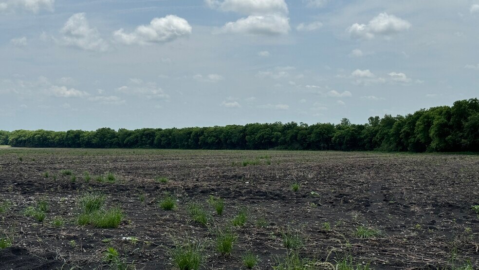 More Photos Of 9024 FM 64, Pecan Gap Land For Sale