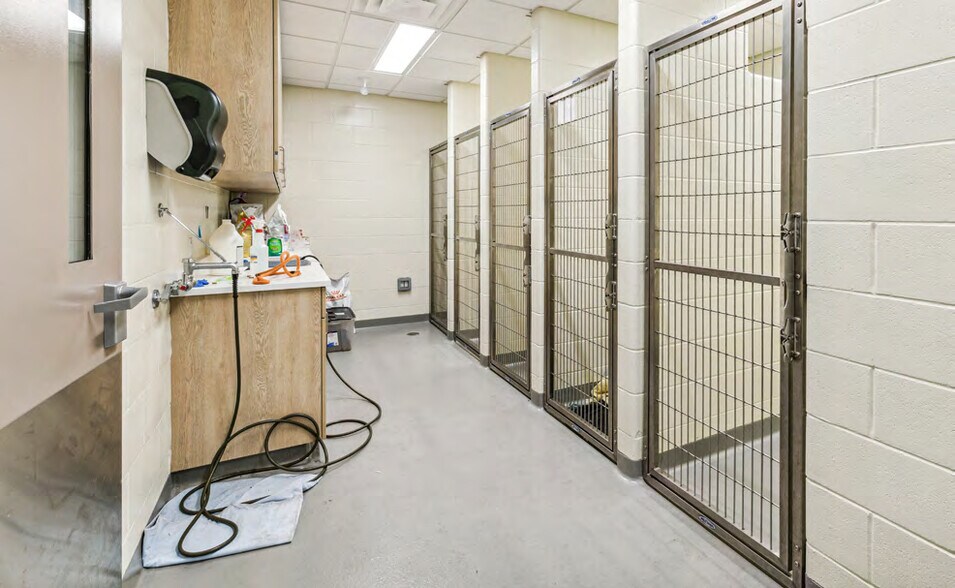 More Photos Of 4 Pine St N, Thorold Veterinarian Kennel For Sale