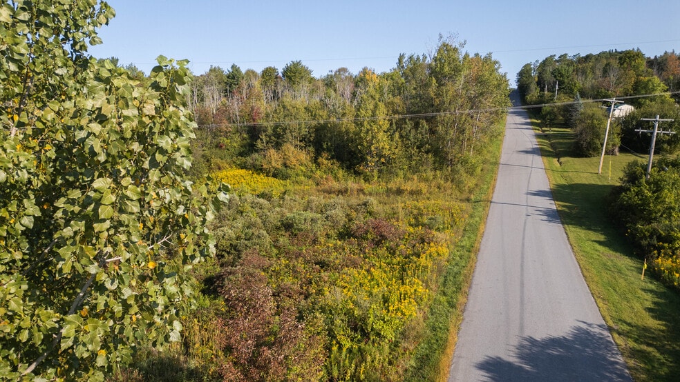 More Photos Of 219 Mudge rd, Delanson Land For Sale