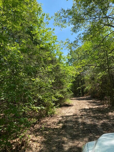 More Photos Of Creel Road @ Hwy 392, Harrison Land For Sale