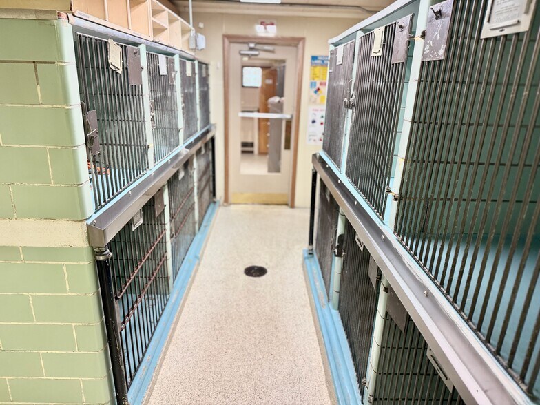 More Photos Of 1107 Lincoln Way E, Massillon Veterinarian Kennel For Sale