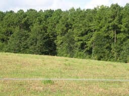 More Photos Of 14715 Medical Complex Dr, Tomball Land For Sale