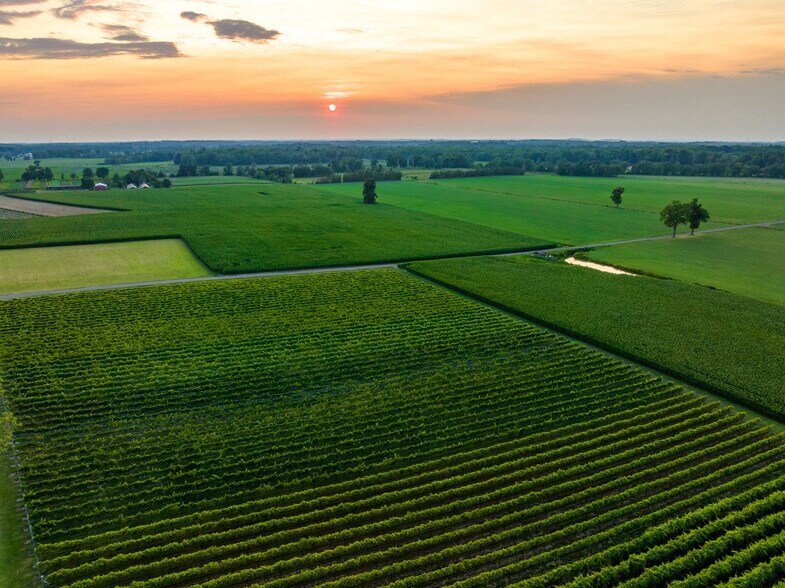More Photos Of 27058 Mount Pleasant Rd, Columbus Winery Vineyard For Sale
