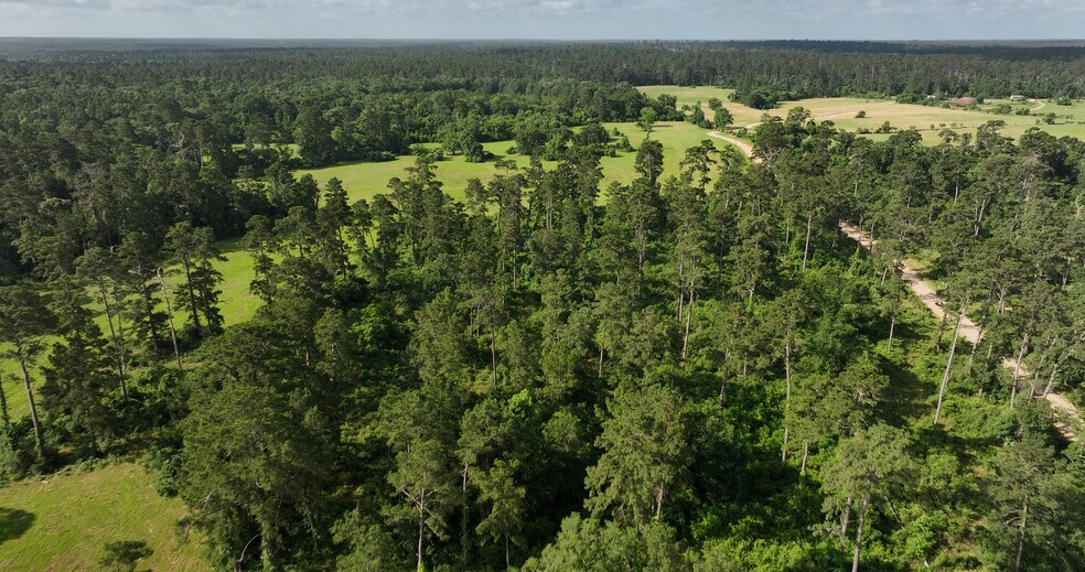 More Photos Of 2268 FM 1486, Montgomery Land For Sale