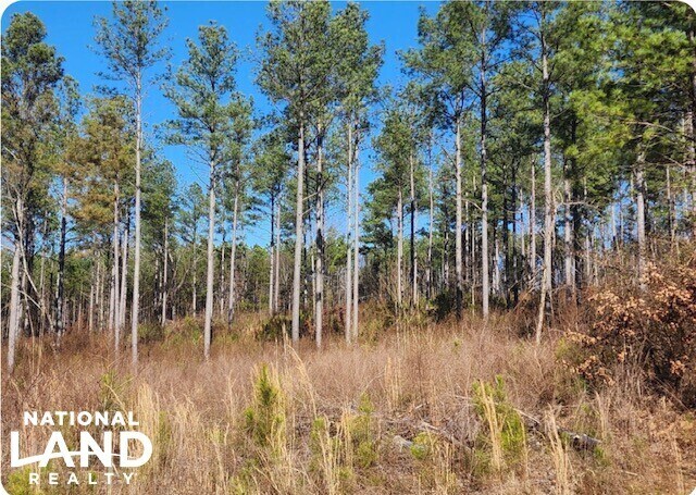 More Photos Of 0 S Sauty Rd, Langston Land For Sale