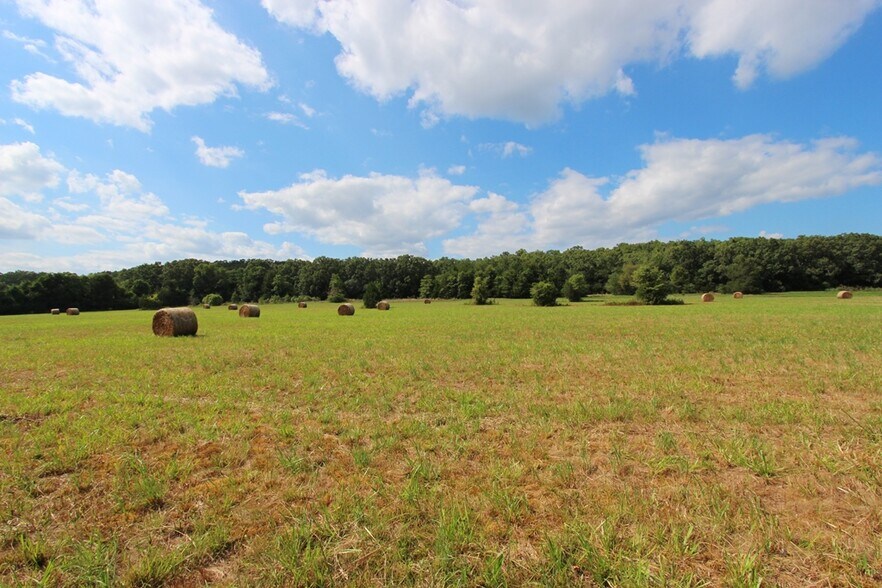 More Photos Of 278 Highway 64 E, Conway Land For Sale