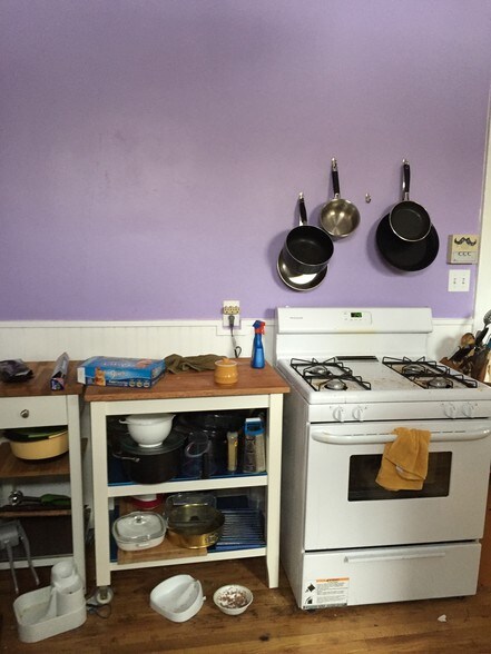 More Photos Of 1719 W 18th St, Chicago Storefront Retail Residential For Lease