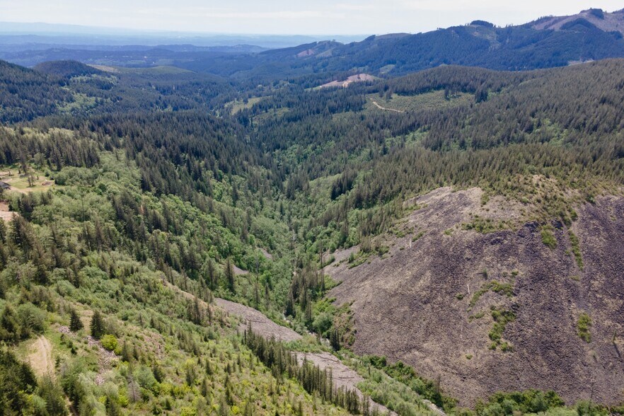 More Photos Of 0 Snag Mountain Road, Washougal Land For Sale