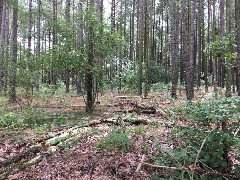 More Photos Of Parrish Ridge Ln, Goreville Land For Sale