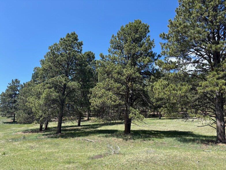 More Photos Of 27989 Highway 64, Eagle Nest Land For Sale