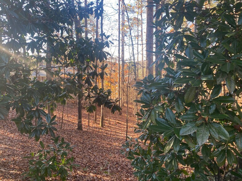 More Photos Of 1830 Winding Creek Ln SW, Marietta Land For Lease