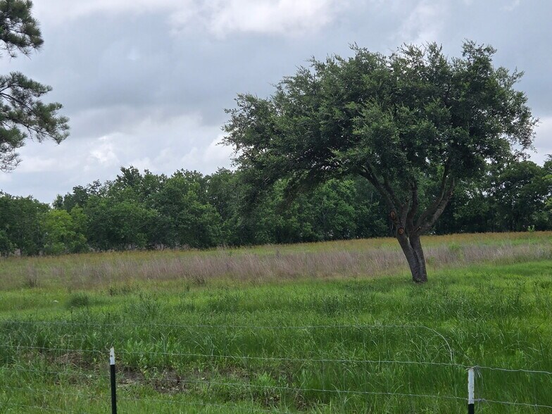 More Photos Of 8235 Hasting Cannon Rd, Alvin Land For Sale