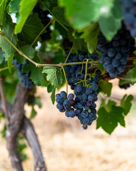 More Photos Of 24013 Arena Valley Rd, Parma Land For Sale