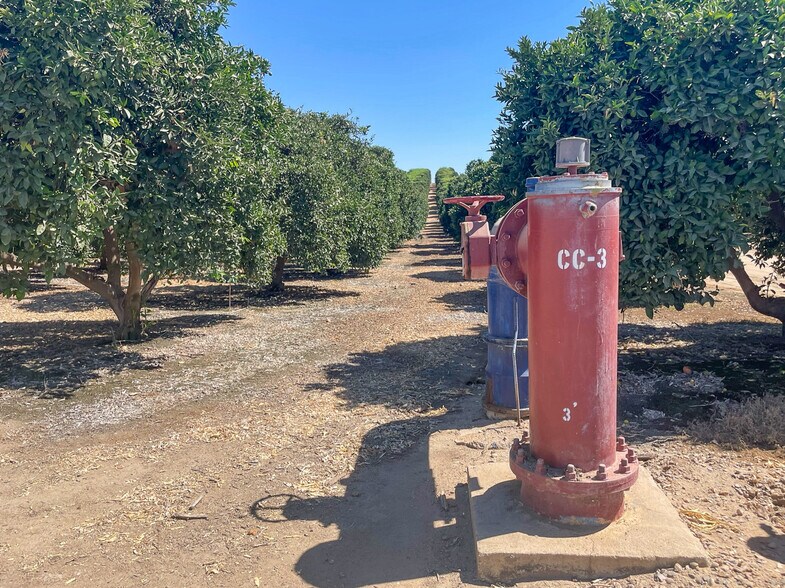 More Photos Of Famoso Rd., Bakersfield Land For Sale
