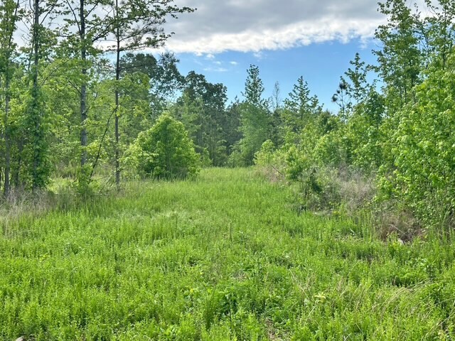 More Photos Of Satcher Road #4 Rd, Taylorsville Land For Sale