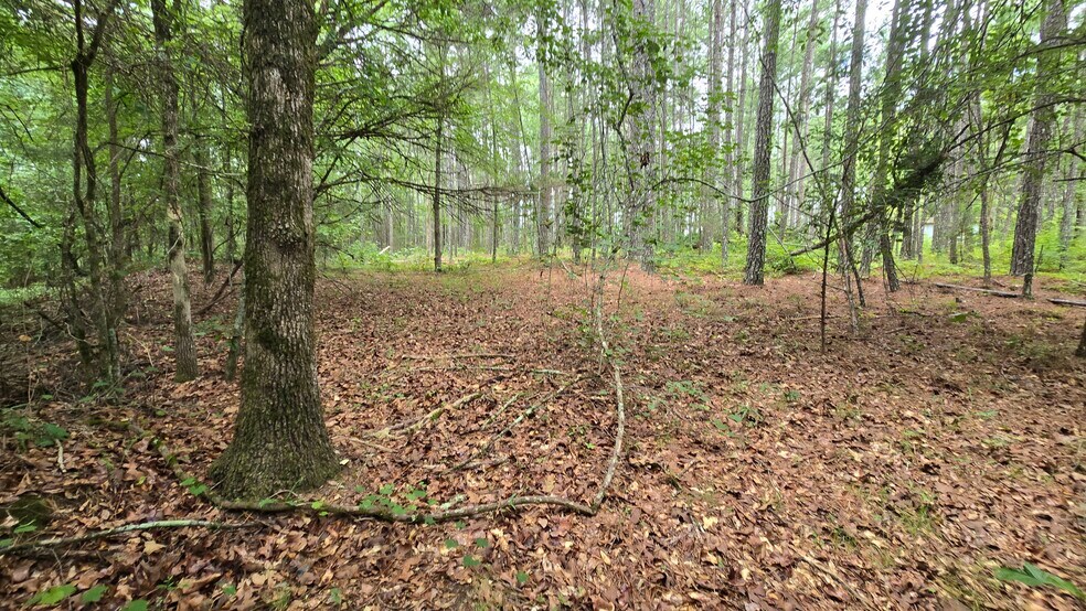 More Photos Of 5171 Ga Highway 138, Loganville Land For Sale
