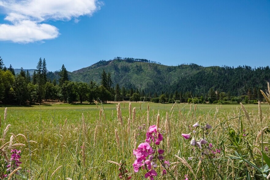 More Photos Of 44510 State 96 Hwy, Seiad Valley Land For Sale