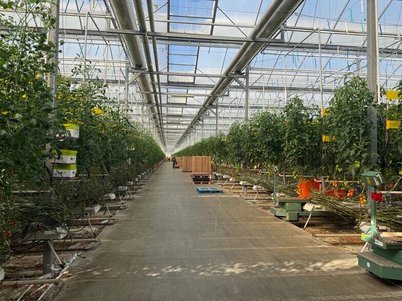 More Photos Of 11312 Range 63 rd, Cypress County Industrial For Sale