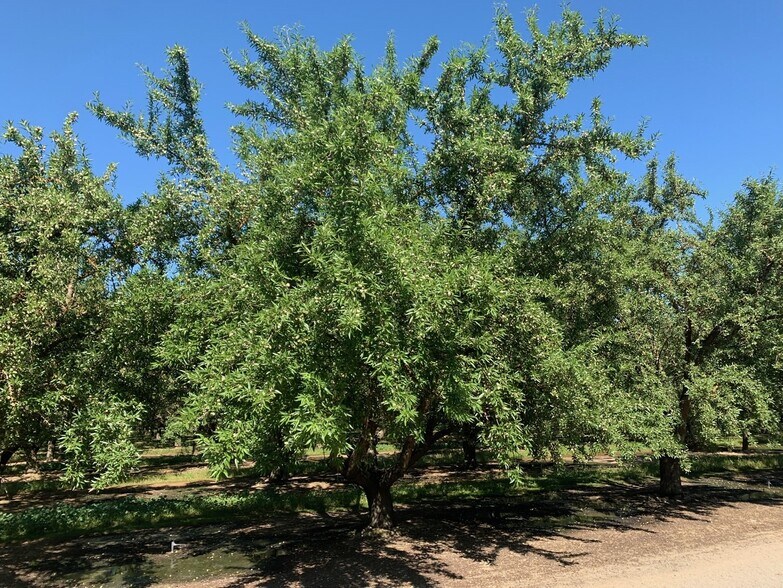 More Photos Of Sec Wildwood Rd & Sherwood Ave, Wasco Land For Sale