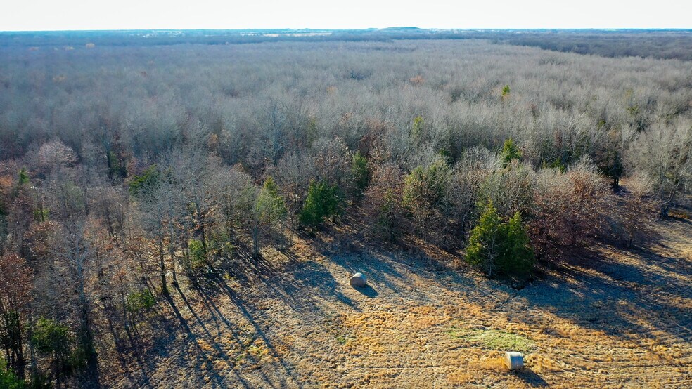 More Photos Of 1200 County 1255 rd, Detroit Land For Sale