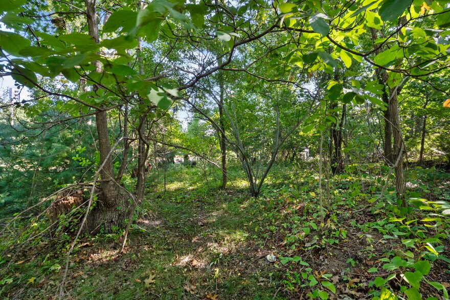 More Photos Of Pine Brook Road, Eatontown Land For Sale