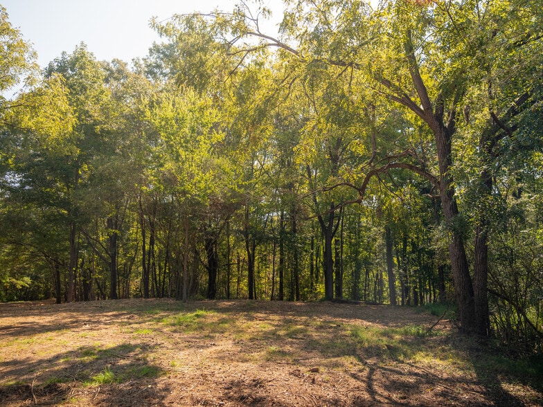 More Photos Of 00 Nash Mill Extension rd, Fountain Inn Land For Sale