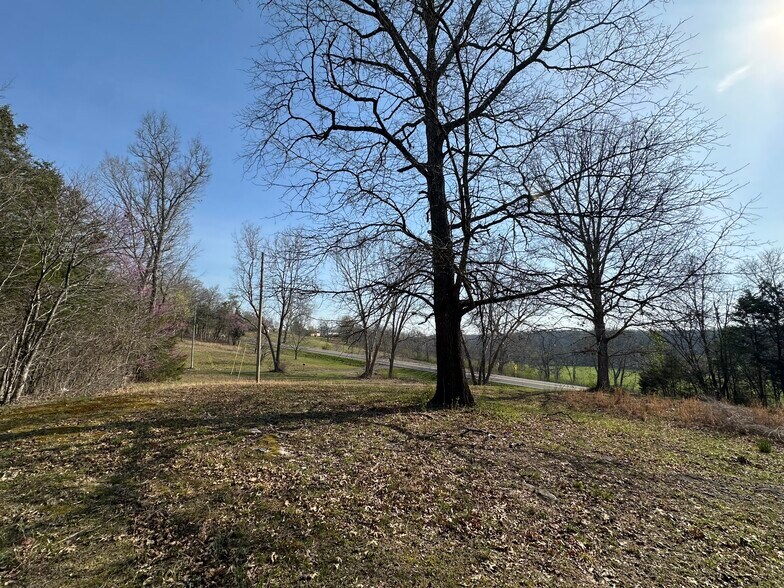 More Photos Of 7312 Highway 60, Georgetown Land For Sale