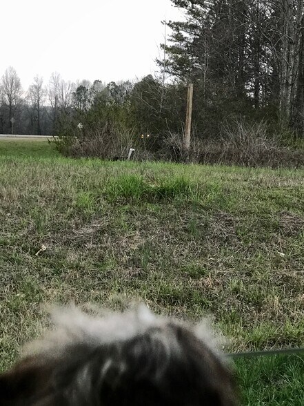 More Photos Of 654 Philadelphia Rd, Jasper Land For Sale