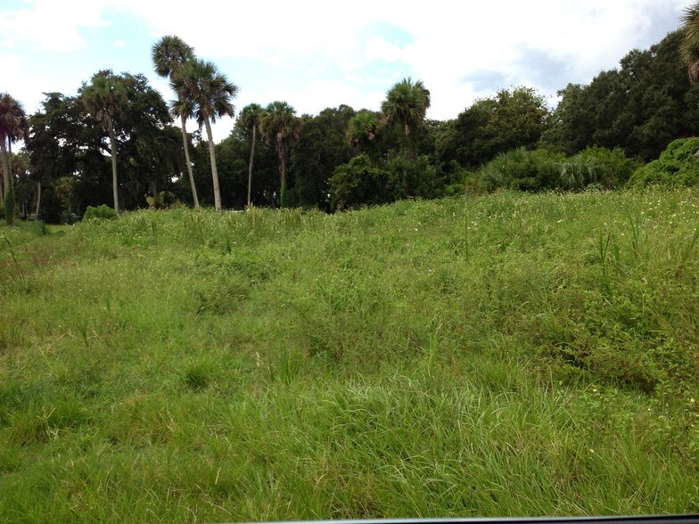 More Photos Of 5653 Ridgewood Ave, Port Orange Land For Sale