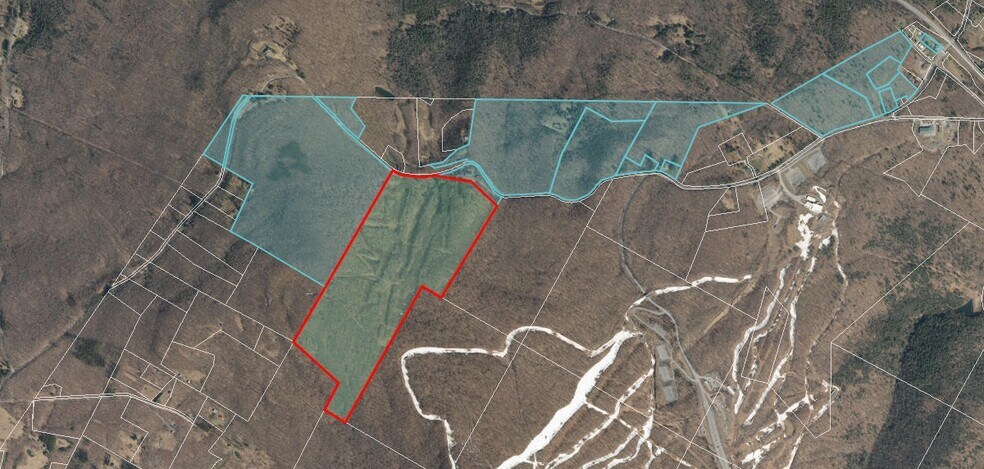 Primary Photo Of 101 Galli Curci Rd, Arkville Land For Sale