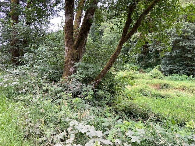 More Photos Of TL 203 Beaver Creek, Seal Rock Land For Sale