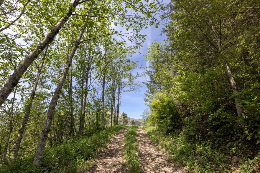 More Photos Of 0 Snag Mountain Road, Washougal Land For Sale