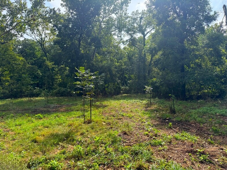 More Photos Of 17660 Golden Rd, Linwood Land For Sale