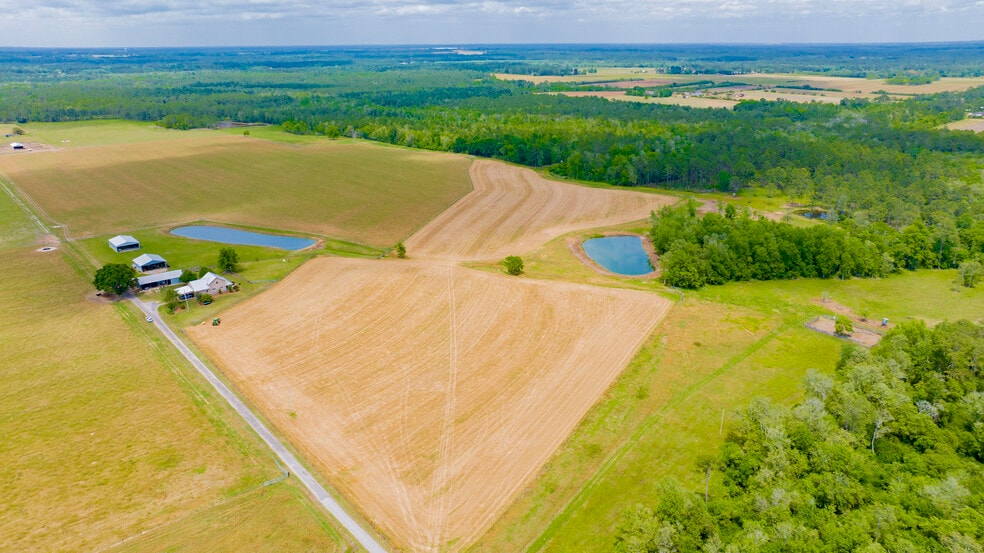 More Photos Of 24795 Hwy 32, Elberta Land For Sale