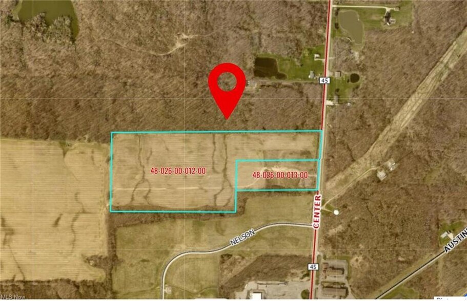 Primary Photo Of 9019 Sr 45 Rd, Rome Land For Sale