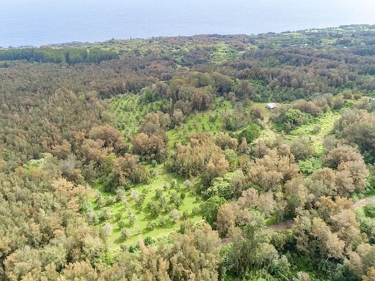 More Photos Of 47-4630 Mauka Cane Haul Rd, Honokaa Land For Sale