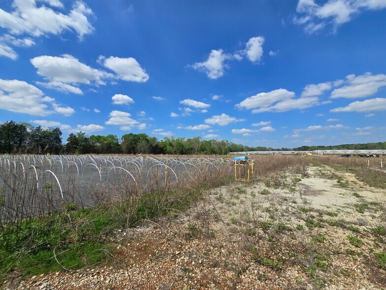 More Photos Of 11888 County Road 345, Winona Land For Sale