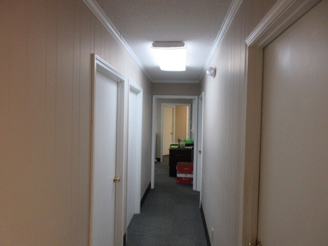 More Photos Of 220 Broad St, Sumter Medical For Lease