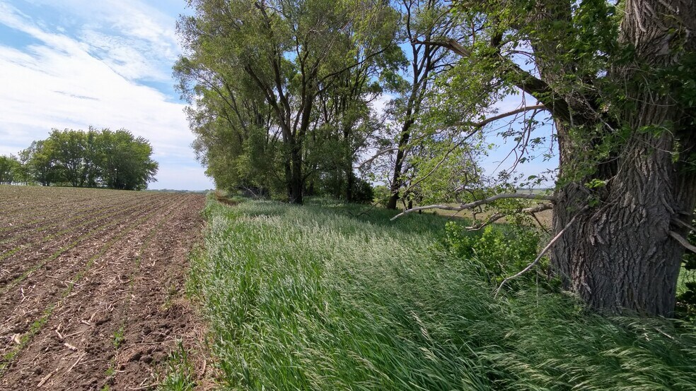 More Photos Of TBD 31st NW Ave @ HWY 52/75th Street NW, Oronoco Land For Sale