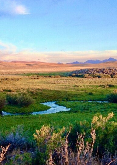 More Photos Of 3750 Pahsimeroi Rd, May Land For Sale