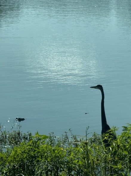 More Photos Of 1891 Porter Lake Dr, Sarasota Light Manufacturing For Sale