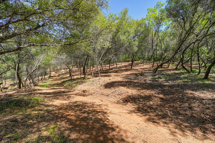 More Photos Of 10650 Werner Rd, Auburn Land For Sale