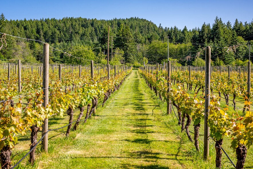 More Photos Of 1885 Central Rd, Hornby Island Land For Sale