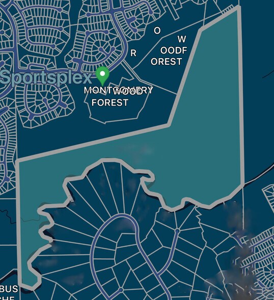 More Photos Of 110 Cadence Ct, Montgomery Land For Sale