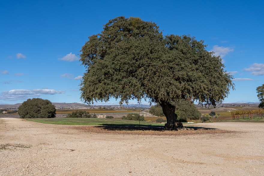 More Photos Of 7790 Airport Rd, Paso Robles Land For Sale
